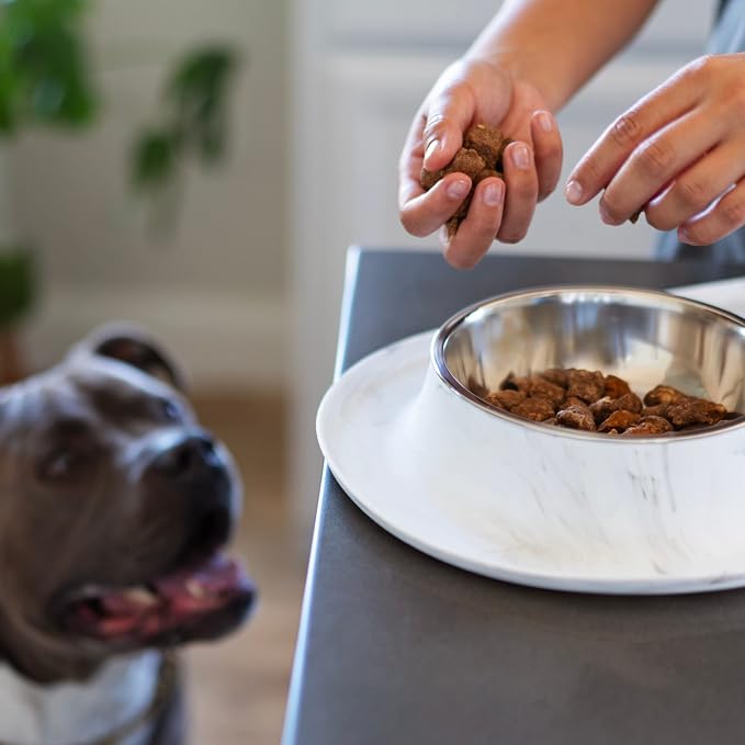 Messy Mutts Double Silicone Feeder with Stainless Bowls | Non-Skid Food Dishes for Dogs for All Pets | Dog Food Bowls | Large, 3 Cups Per Bowl | Marble