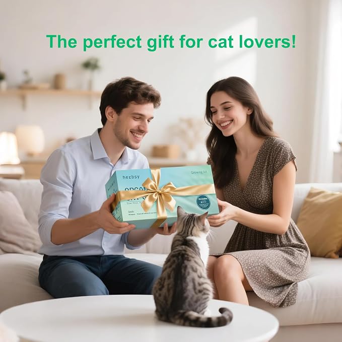 Cat Grass for Indoor Cats – x5 Seed Packets | Cat Grass Seeds with Wooden Planter, Soil & Mini Gardening Tools for Nipping– Pet Wheatgrass Grass, Gifts for Cat Lovers