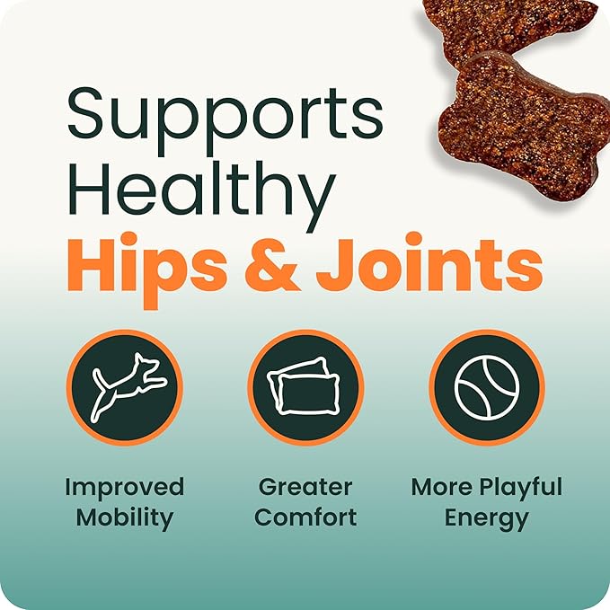 VetriScience Ultimate Strength Hip & Joint Supplement for Dogs – Supports Joint Health & Mobility, Vet-formulated w/Glucosamine, Chondroitin, MSM & Green-Lipped Mussel –Duck Flavor, 120 Chews