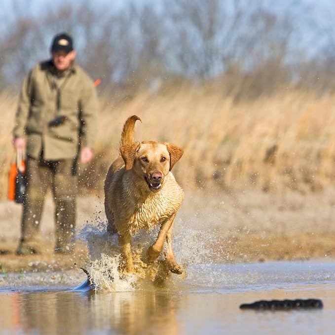 Avery ASD 3" HexaBumper Hunting Sporting Gun Dog Game Retriever Dummy | Water & Upland Mark Training Retrieval Tool | Hexagonal, Floating Design, Easy-Grip Texture, Throw Rope, Black (02732)