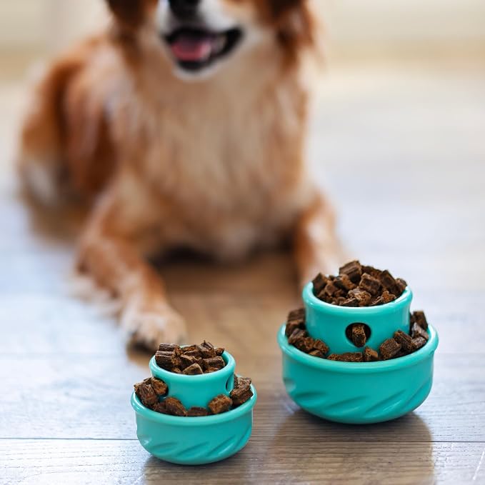 Messy Mutts Totally Pooched Puzzle 'n Play Mushroom | Stuffable Treat Toy for Dogs |Durable TPR | 3.25”” x 2.5” (Small) Dog Toy | Teal