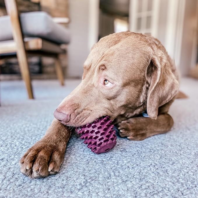 Tall Tails Pinecone Natural Rubber Reward Toy for Dogs - Use for Spreadables Treats and Kibble Play
