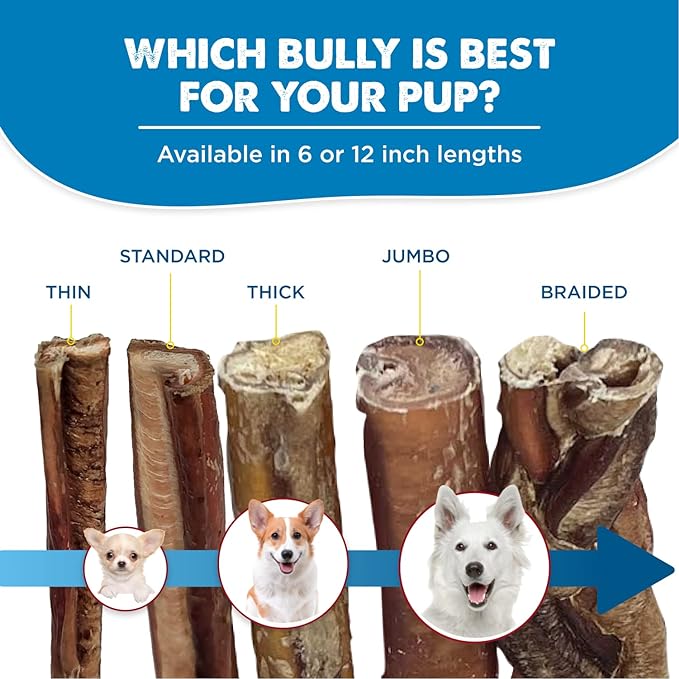 Best Bully Sticks Odor-Free Junior Bully Sticks for Dogs - 4-8 Inch 16 oz (Pack of 1) - Easily Digestible, 100% Grass-Fed Beef, No Grain or Rawhide