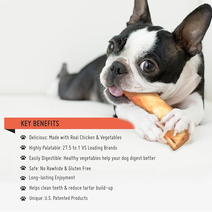 LuvChew Gluten Free Rawhide Free Dog Chew Chicken Rolls Mini 2.5" for Small Dogs 10 pcs/Pack (Mini 2.5" 10pcs/Pack x2 Packs)