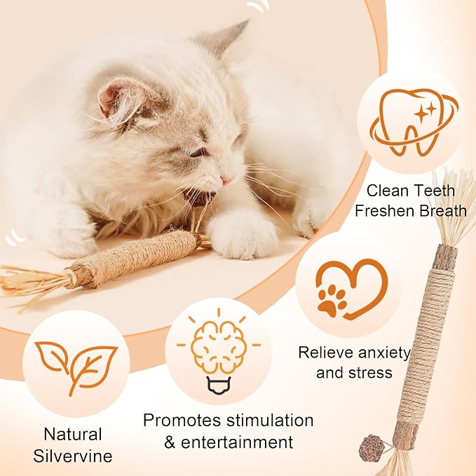 Natural Silvervine Dental Sticks, Natural Silvervine Sticks for Cats, Cleaning Dental, Scratch and Bite Resistant, Calm Cat Boring, for Indoor Kitty Interactive Kitten Chew Playthings (5Pcs)