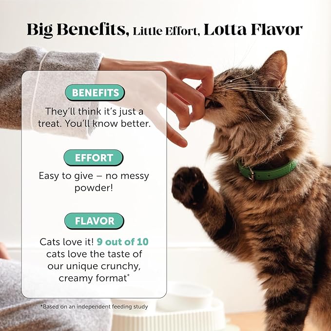 Cat Breath Freshener Dental Health Powder – Reduce Tartar & Plaque, Freshen Breath, and Support Bright Teeth with Natural Herbal Blend with Kelp & Parsley (60 Day Supply)