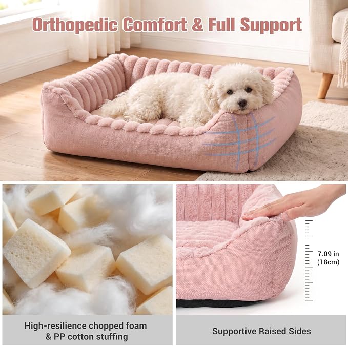 Avont Supportive Dog Bed for Small Dogs & Cats, Plush Foam Fill, Pink | Removable Machine Washable Cover, Low 5.12" Entry for Pups & Seniors, 7:3 Foam-PP, Non-slip Bottom, Hidden Chew-proof Zippers