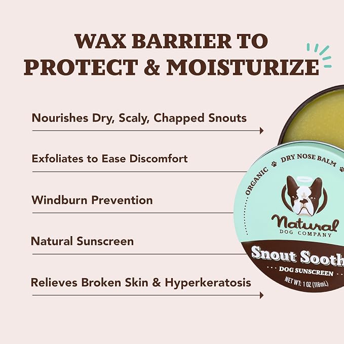 Natural Dog Company Balm Stick Bundle for Dogs – Travel Set for Nose, Paws, Wrinkles, Itchy Skin & Hot Spots – Lick-Safe, Plant-Based Relief with Coconut Oil – 5 x 1 oz Tins