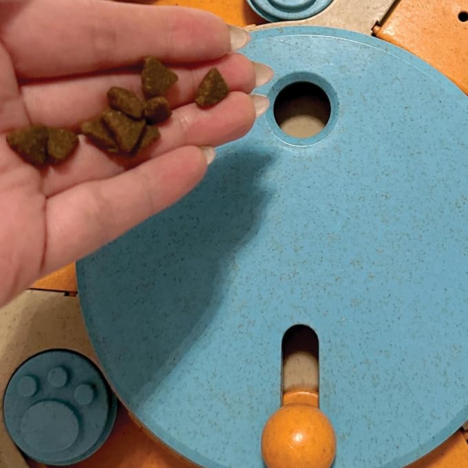 FOUFIT foufouBRAND Round Hide 'n Seek Multi-Play Turntable Puzzle Pet Toy, 10.7-inch Length, Pet Accessories
