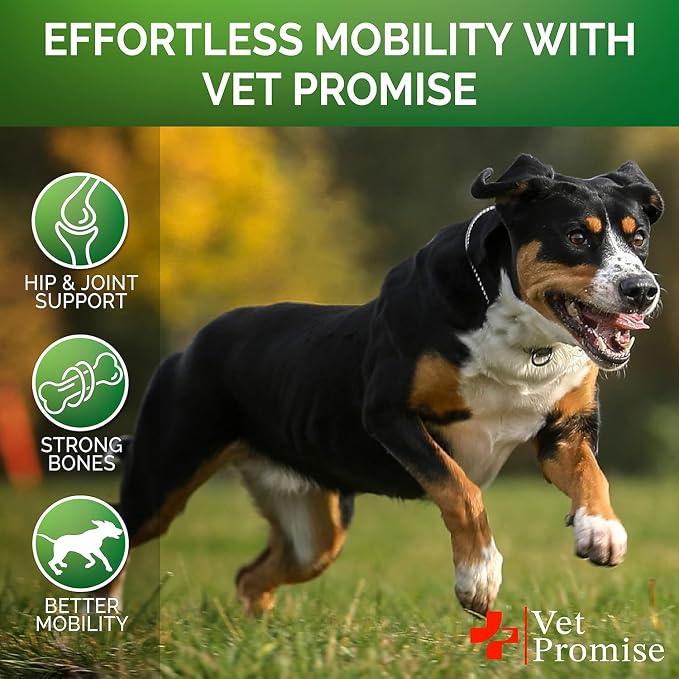 (2 Pack) Glucosamine for Dogs - Hip and Joint Supplement for Dogs - Glucosamine Chondroitin - Joint Pain Relief Pills - MSM - Hemp Oil - Advanced Health Support Supplement - 240 Mobility Chews