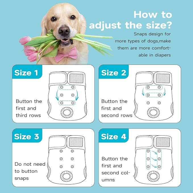 Paw Legend Washable Reusable Female Dog Period Diapers for Heat Doggie Puppy Diapers for Female Dogs (3 Pack, X-Small)
