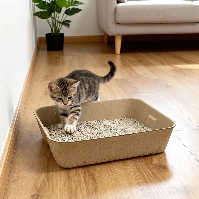 6 Pack Large Disposable Litter Boxes for Cats,Travel Litter Box for Cats,Portable Litters Box for Temporary Housing,Odor Control Litters Boxes for Cat,Hamster,Guinea Pig,Rabbit
