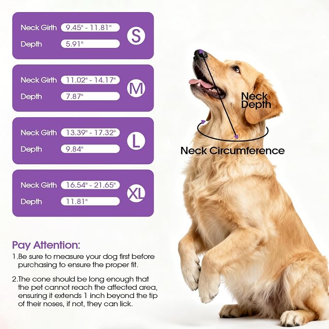 Soft Dog Recovery Cone Collar, Comfortable Post Surgery Protection Alternative to E Collar, Adjustable Anti-Licking Healing Guard for Wound Care, Elizabethan Recovery Shield, Purple, Size M