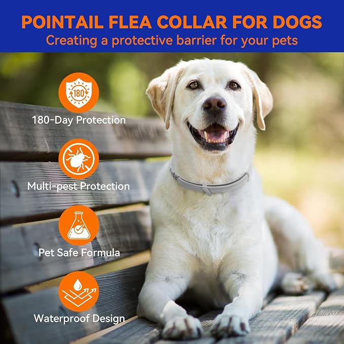 Flea & Tick Collar for Dogs, Vet-Recommended Flea & Tick Treatment & Prevention Collar for Dogs, 1 Count, 15"