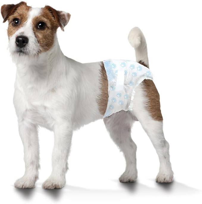 Four Paws Wee-Wee Super Absorbent Disposable Adjustable Dog Potty Training Diapers, Leak-Proof Protection for Dogs, Size Small, 12" - 15" Waist, 12 Count