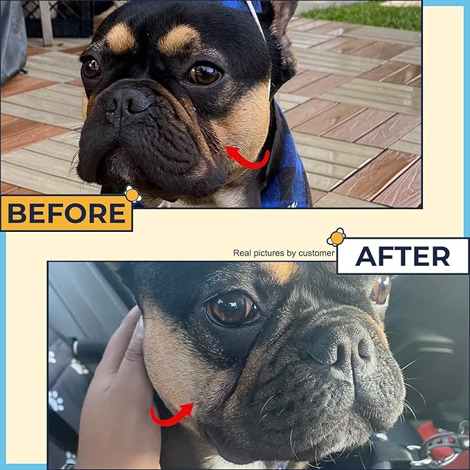 Paste for Bulldogs Wrinkle 2oz+ 50 Wrinkle Wipes French Bulldog (Pack of 2)- Wrinkle Cream for Dogs, Frenchie, English Bulldog, Pug- Cleans Rashes,Tail Pockets, Dry Skin & Paws (Made In USA)