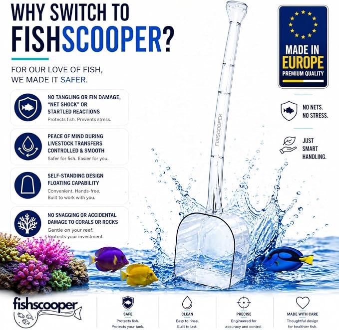 Fish Scooper, Acclimation Container, Fish Trap, Floating Fish Net, Axolotl Tank Accessories, Aquarium Cleaning Tools, Photography, Tool, Aquarium Accessories, Breeder Box