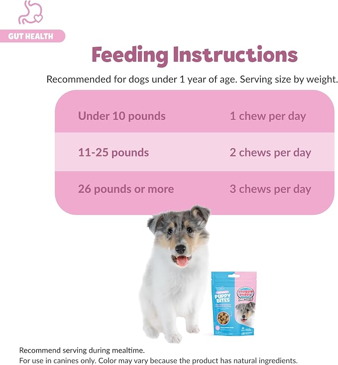 Snuggle Puppy Puppy Bites Gut Health Supplement - Dog Probiotics & Prebiotics for Gut Health - Pet Supplement and Supplies for Dog Health - Digestive Health Support - 60 Soft Chews