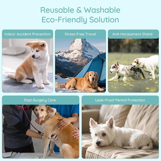 BELLA & PAL Washable Dog Diapers Female, 3 Pack Highly Absorbent Dog Diaper, Leak-Proof Diaper for Dog Female in Heat, Period, Incontinence, Excitement Pee (Natural Joy, L (19-25" Waist))