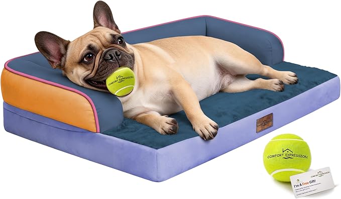 Comfort Expression Memory Foam Dog Bed for Large Medium Sized Dogs - Waterproof Orthopedic Pet Bed with Washable Removable Cover, Non-Slip Pet Sofa Couch, 36 x 27