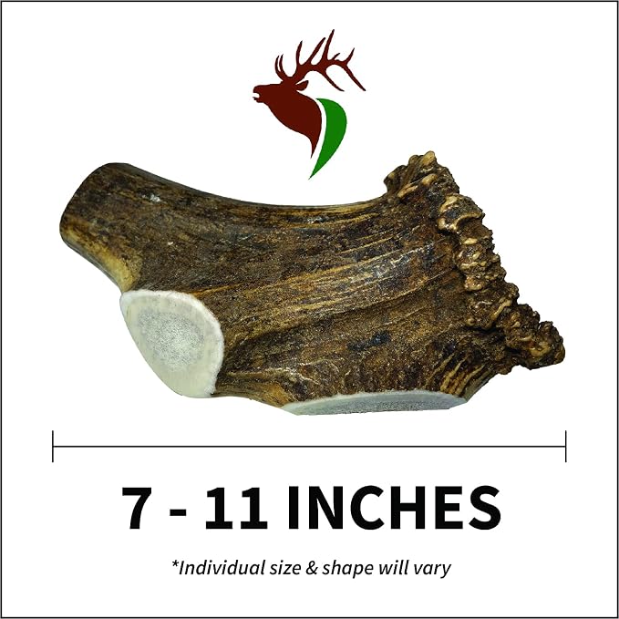 Elkhorn Premium Chews - Giant Split Single Pack (for 75+ lb Dogs) Premium Grade Elk Antler for Dogs (1 Piece) Sourced in the USA