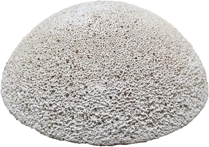 Brightwell Aquatics HemiXSpheres – Coral Frag Mount for Marine Reef Aquariums