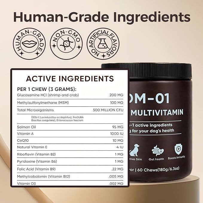 DM-01 Daily Multivitamin for Dogs, Multivitamin Itch Relief Chews Contain Glucosamine Probiotics Salmon Oil for Skin Coat, Gut & Immune Supports, 60 Chews (1)