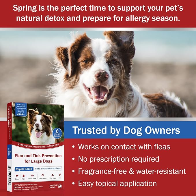 Flea and Tick Prevention for Dogs, 6-Month Supply, Large Dog Flea, Tick & Mosquito Control, Repellent, 44–88 lbs, 24-Hour Protect, Flea Supplements for Dogs