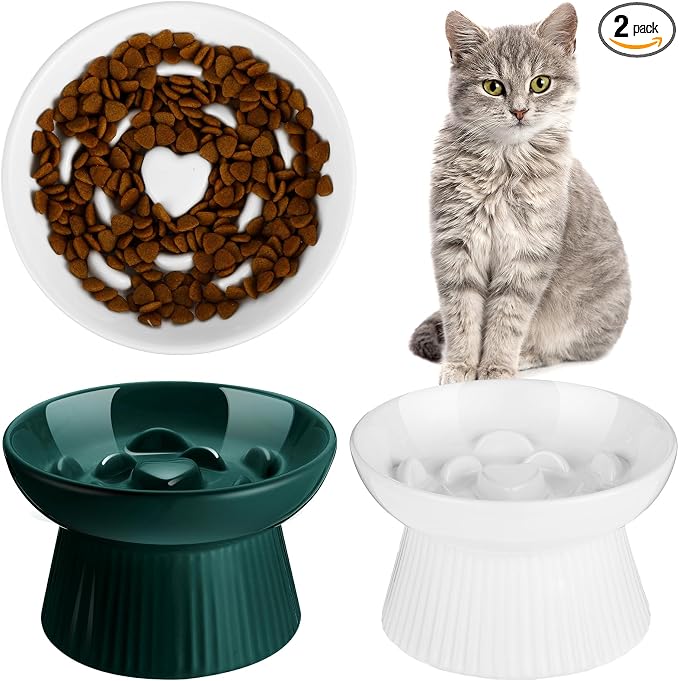 Tioncy 2 Pcs Raised Cat Slow Feeder Bowl Ceramic Elevated Cat Dog Food Bowl No Spill High Edge for Dry Wet Food and Water Easy to Clean, Dishwasher Safe (Dark Green,White)