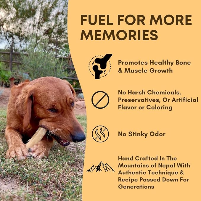 Back 40 Dogs Yak Cheese Himayalan Dog Chews – Long-Lasting Natural Chews for Aggressive Chewers – 2-Ingredient, High Protein, Odorless, Dental Health Treats for Dogs (Large, 8 Pack)