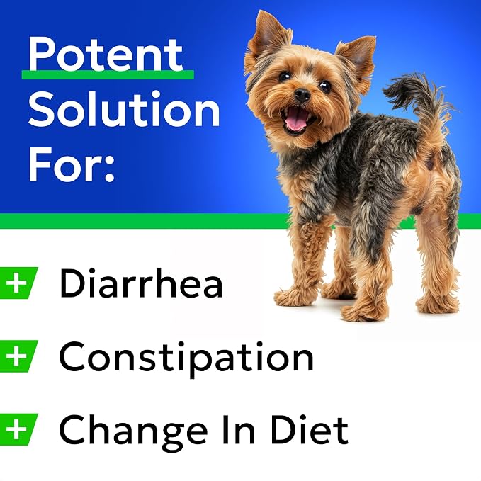 BARK&SPARK Pumpkin Powder for Dogs - 8oz Powdered Fiber Supplement and Stool Softener - Upset Stomach, Food Sensitivity - Improve Digestion - 8oz Powder
