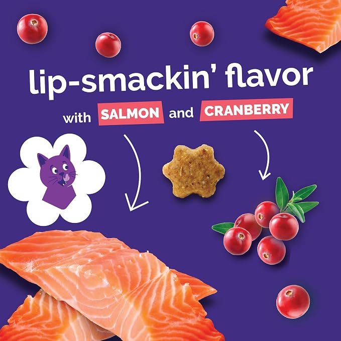 Fruitables Cat Treats, Healthy Treats For Cats, Low Calorie and Packed with Protein, Crunchy Biscuits, No Wheat, Corn or Soy, Made with Real Salmon and Cranberry, 2.5oz
