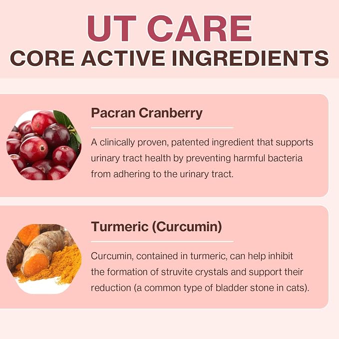 Doctor By UT Care Cat UTI Kidney Support Urinary Supplement Cranberry Treatment for Cats Renal Health with Pacran, Quercetin, Taurine lickable Formula Individually Packaged (1 Pack)