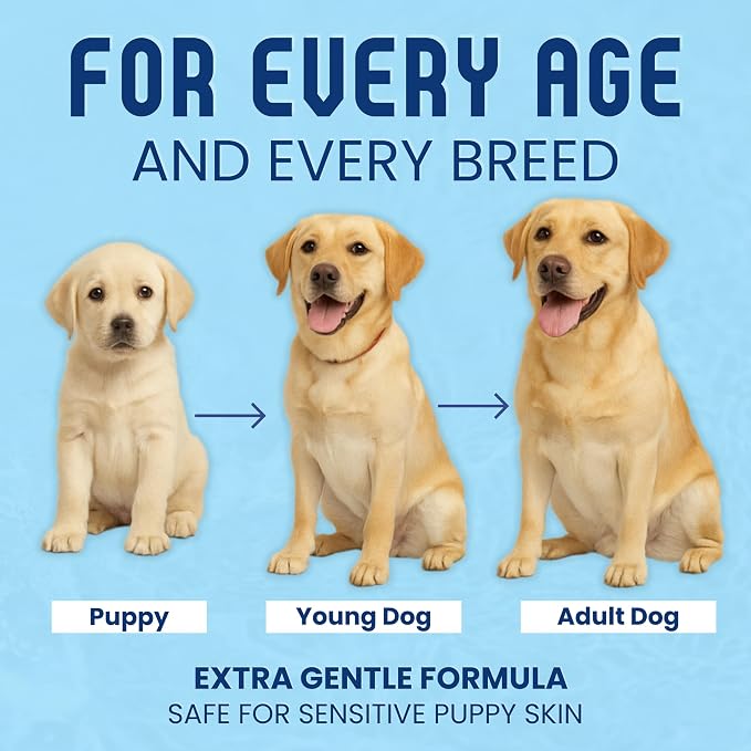 Organic Dog Shampoo - Puppy Oatmeal Shampoo for Itchy Skin Relief - Hypoallergenic for Sensitive Skin, for Groomers & Professionals, Made in USA, 1 Gallon (Vanilla Ice Cream)