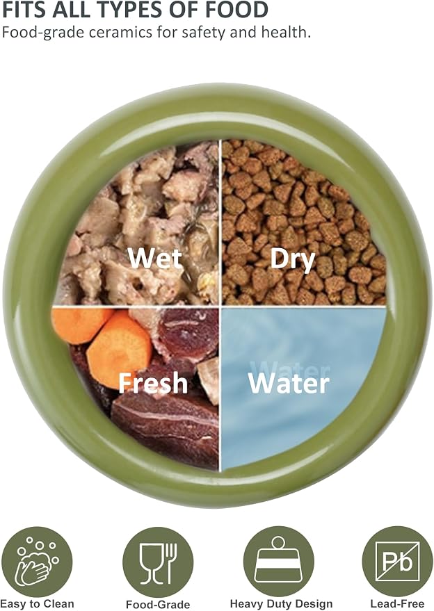 Elevated Cat Water Bowls Raised Small Ceramic Dog Bowl,Non-Slip Tilted Cat Food Bowl Whisker Friendly-Green