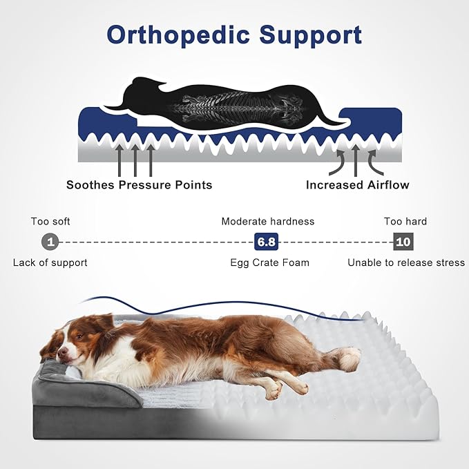 FURTIME Orthopedic Dog Bed for Medium Size Dog, Waterproof Dog Beds, 35x25x6.5 Supportive Foam Pet Couch Bed with Removable Washable Cover and Nonskid Bottom