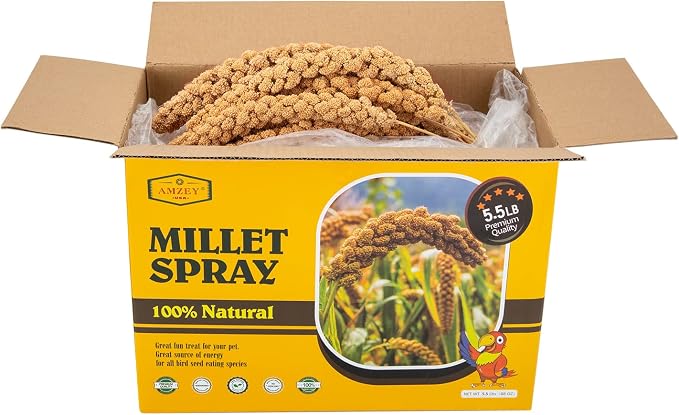 Amzey 5.5LB Spray Millet for Parakeets, 100% Natural Sun-Dried Healthy Bird Treat, Non-GMO High Protein Fresh Millet Spray for Parrots, Cockatiel, Finches & Lovebirds