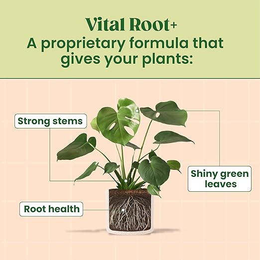 Root Rot Repair & Plant Transplant Shock Recovery – Liquid Supplement for Indoor Plants, Fiddle Leaf Fig, Monstera & Pothos | Heals Roots, Prevents Brown Spots & Leaf Drop, 8 oz – Vital Root+
