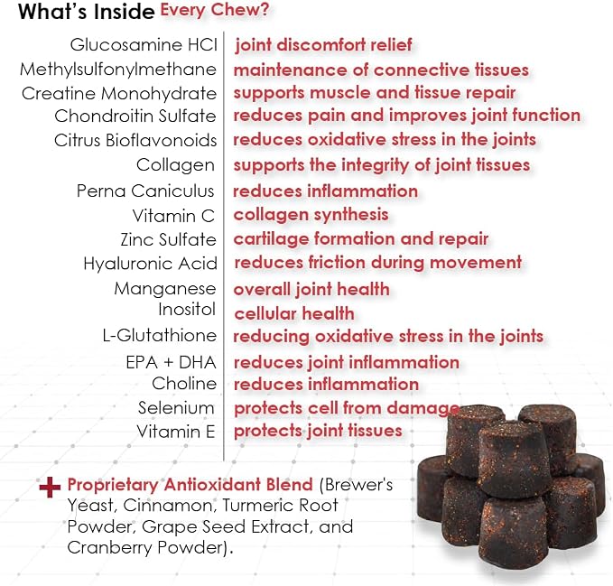 ReMATRIX Joint Support Supplement for Dogs - Glucosamine, Chondroitin, MSM, Omega-3 - Hip and Joint Pain Relief and Support for Dogs - Made in USA - 240 Soft Chews