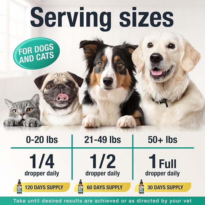 Charlie & Buddy Hemp Оil for Dogs Cats - Helps Pets with Аnxiеty, Pаin, Strеss, Slееp, Аrthritis, Sеizures Rеlief - Нiр Jоint Hеalth - 2Pack