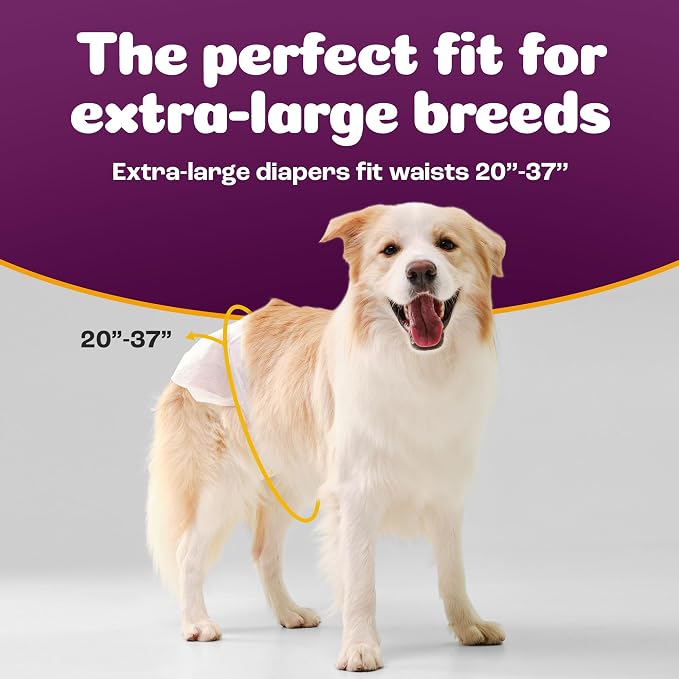 Inspire Pet Care Dog Diapers Female Dogs | Bulk Value Doggie Incontinence, Accidents, for Heat, Pee or Period and Housebreaking (X-Large (56 Count))