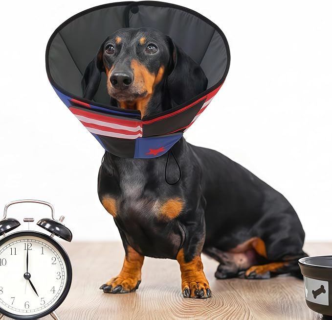 Queenmore XL Dog Cone, Soft Dog Cones for Large Dogs After Surgery, Cone for Dogs to Stop Licking, Pet Elizabethan Collar, Alternative to Recovery Collar for Pets, USAFlag XL