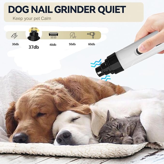 Upgraded Quiet Dog Nail Grinder, Professional 2-Speed Rechargeable Pet Nail Trimmer for Small/Medium/Large Dogs & Cats, Painless Paw Grooming with 2 Replacement Grinding Heads(M1)