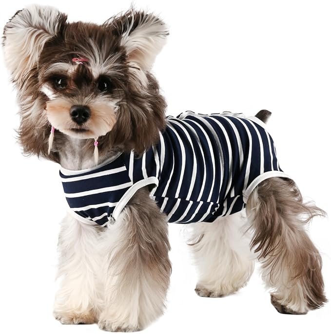 Etdane Dog Period Diapers Small Dog Sanitary Panties Period Suit for Male Female Dogs Diaper Cover for Heat Blue/Medium