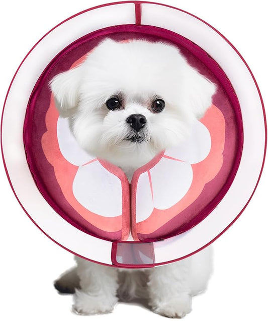 Inflatable Dog Cone Collar for Large Medium Small Dogs, Soft Dog Donut Collar Adjustable Recovery Cone for Pets After Surgery, Extra Enhanced Anti-Licking Guard Shield (Mangosteen, Small)