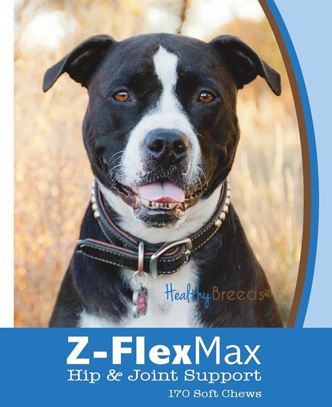 Healthy Breeds Pit Bull Z-Flex Max Hip and Joint Soft Chews 170 Count