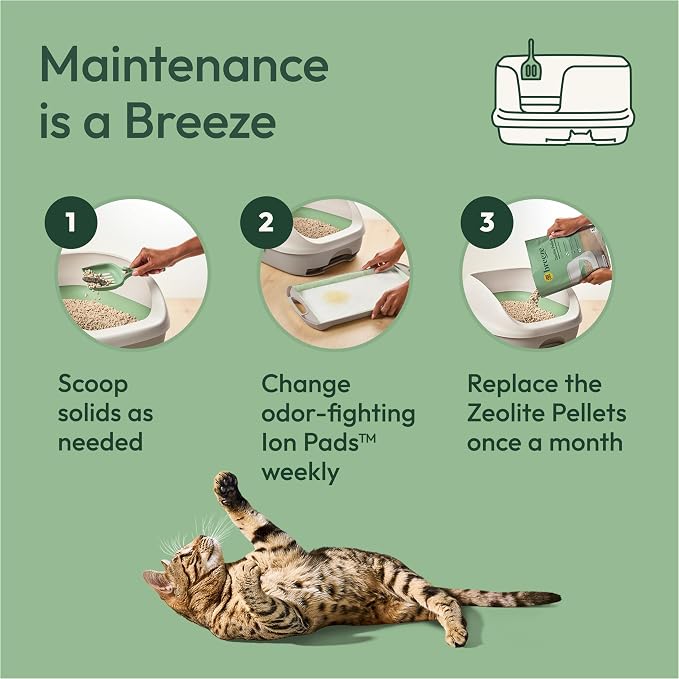 Purina Tidy Cats Litter System, Non-Clumping, Breeze XL All-in-One Odor Control & Easy Clean Multi Cat Box - 18 lb. Box