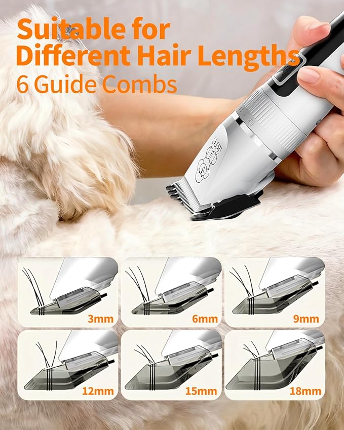 iBTC Professional Dog Grooming Kit at Home: All-in-One Quiet Clippers & Nail Grinder with LED Light, Cordless Dog Shaver, Safe Poodle Grooming Kit for Paws, Face, Ears & Body（White Combination）