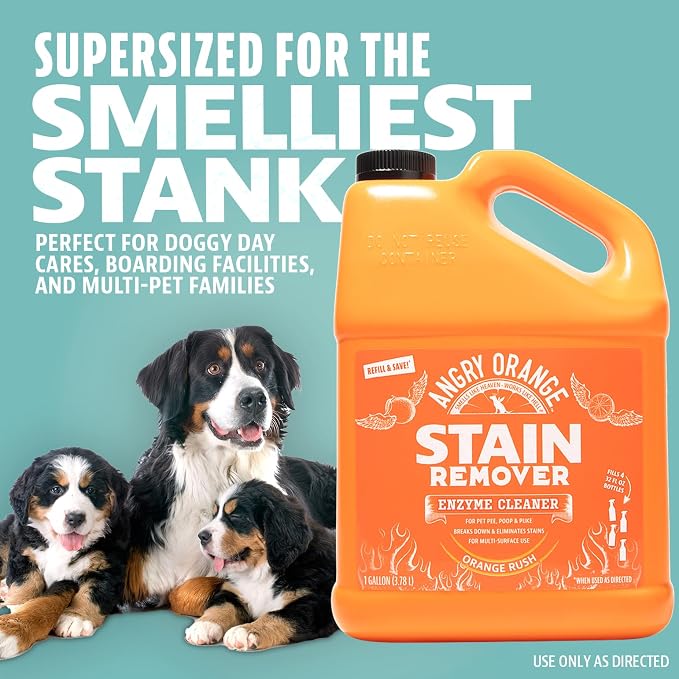 ANGRY ORANGE 1 Gallon Enzyme Cleaner and Deodorizer, Pet Stain and Odor Remover for Dog & Cat Urine and Stains - Orange Rush Scent, Made in USA
