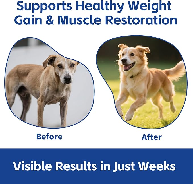 Pancreatic Enzymes for Dogs – 10X Pancreatin Digestive Enzyme Powder – Dog EPI Supplement for Pancreas Support – Helps Restore Weight, Improve Digestion & Relieve GI Stress – 11.99 oz – Vet Formulated